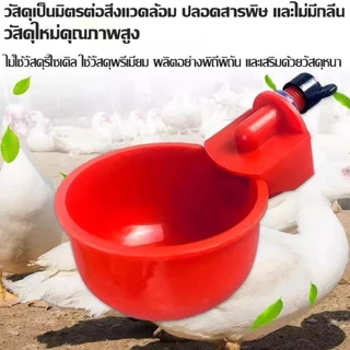 ชามดื่มน้ำไก่อัตโนมัติ 6/12/24ชิ้น ถังให้อาหารไก่ วัสดุPP แบบหนีบแขวน สำหรับไก่เป็ดห่านนกกระทา ป้องกันคุ้ยเขี่ย ลดน้ำหก