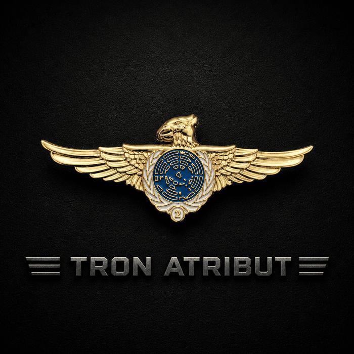 Wing UNIFIL Lebanon PDH Brivet Brevet Pin UNIFIL Lebanon Gold