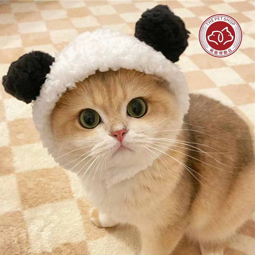 หมวกแมว หมวกสุนัข Teddy Bichon Pet Funny Dress Up