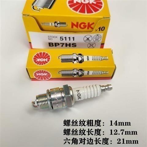 Sea Zongshen Baisheng Two-Stroke Outer Unit Speedboat Spark Plug BP7HS-10 BP7HS