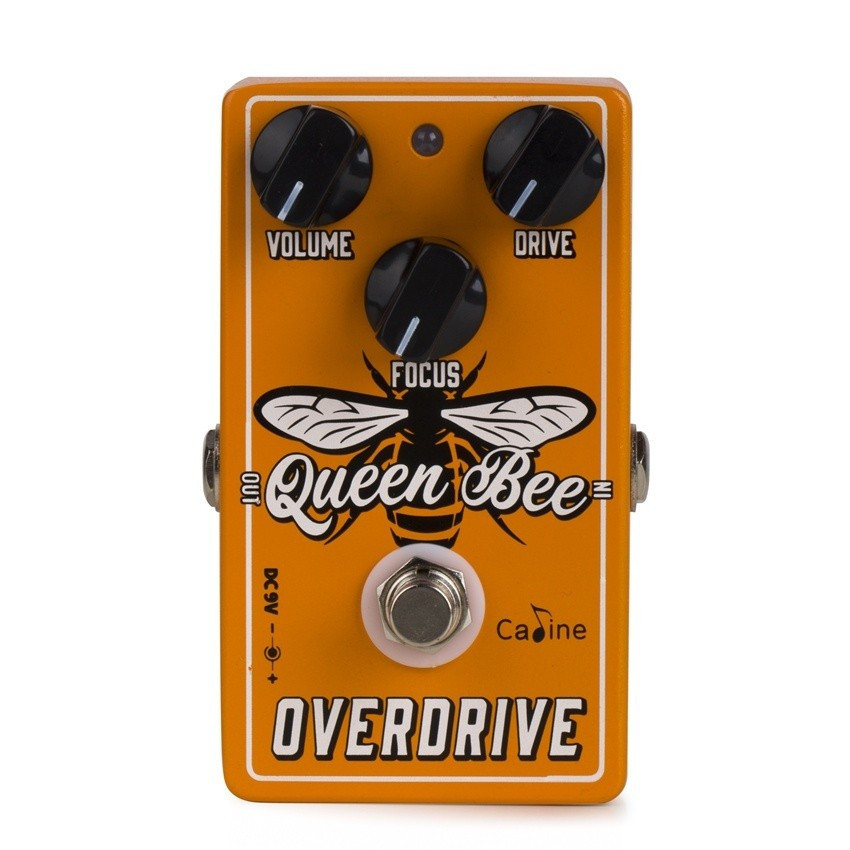 Caline CP503 Queen Bee Overdrive Guitar Effect Pedal Guitar AccessoryTH99 38WD