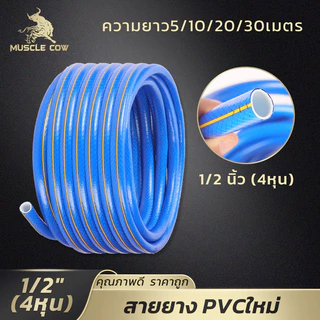 MUSCLE COW สายยาง PVC สีฟ้า 5, 10, 20, 30ม. 1/2" เหนียว ยืดหยุ่น เหมาะรดน้ำ ล้างรถ
