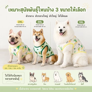 2เอ็กแอล 3เอ็กแอล 5เอ็กแอล สุนัขเสื้อกั๊กระบายความร้อนที่มีสีสันกระบองเพชรอะโวคาโดพิมพ์แขนกุดเสื้อสัตว์เลี้ยงสําหรับสุนัขขนาดกลางขนาดใหญ่
