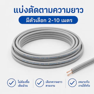 🎯10-50เมตร🎯 (เบอร์ 0.5) ANT สายไฟอ่อน Speaker Wire DC 2 × 0.5 sq.mm สายไฟแรงดันต่ำ เดินลอย สายเครื่องใช้ไฟฟ้า