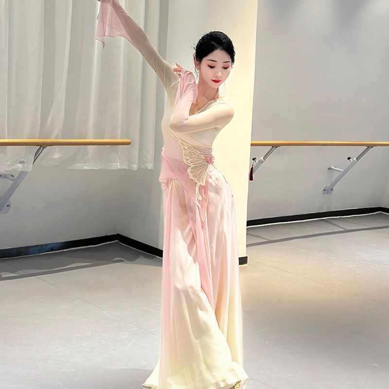 古典舞蹈服女身韵渐变练功蝴蝶仙气上衣纱衣飘逸中国舞演出服套装20260723 Classical Dance Costume for Women, Gradient Color Butterfly F