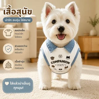 เสื้อกล้ามสุนัขแบบ POLO น่ารัก เสื้อแมว ระบายอากาศ สวมใส่ได้ทุกโอกาส ชุดสัตว์เลี้ยงน่ารัก แบบบางสำหรับฤดูร้อน