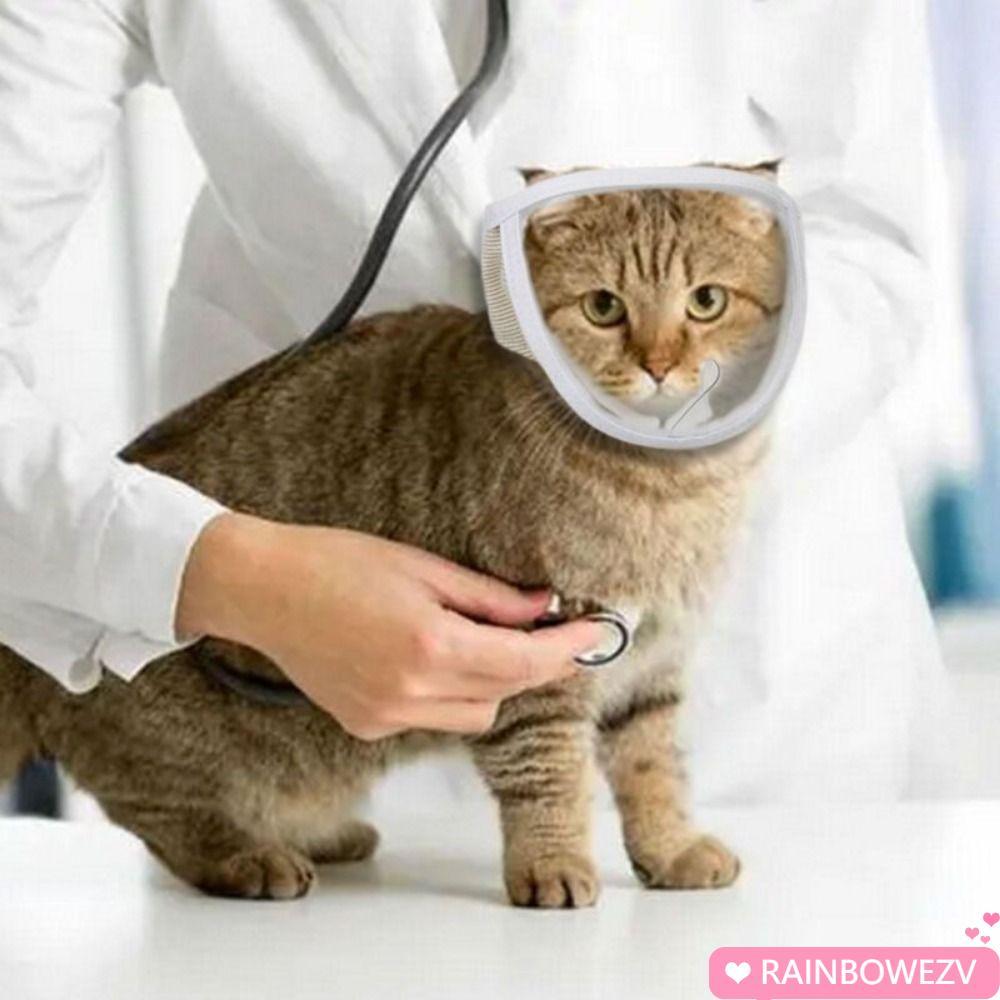 RAINBOWEZV Kitten Muzzles ผลิตภัณฑ์สัตว์เลี้ยงโปร่งใส Anti Bite Mouth Guard