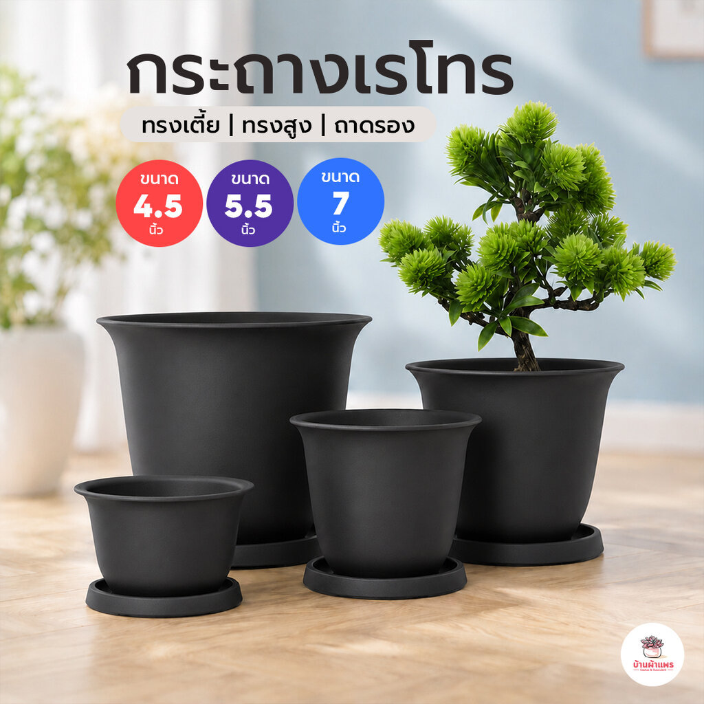 [ Telsly ] กระถางเรโทร กระถางพลาสติก แคคตัส กระบองเพชร ไม้อวบน้ำ Cactus&Succulent