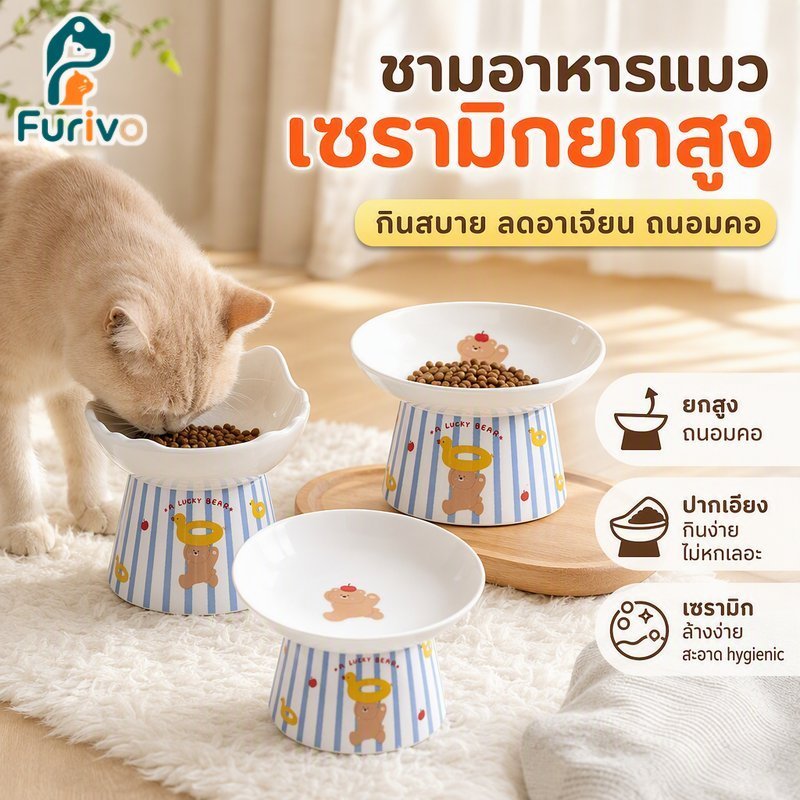 ชามสัตว์เลี้ยงเซรามิกยกระดับขอบเอียงป้องกันการลื่นทําความสะอาดง่ายแมวสุนัขสุนัขพันธุ์เล็กคอดูแล