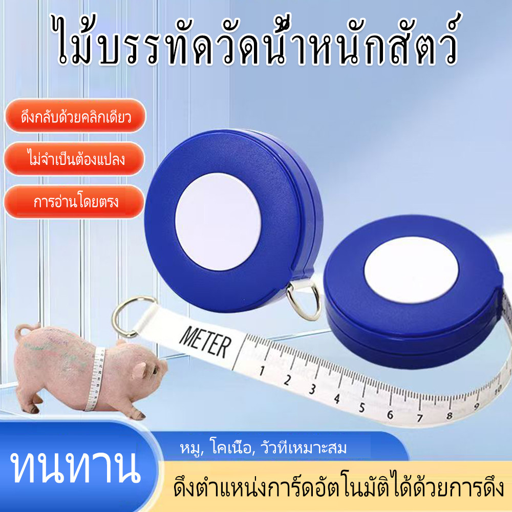 สายวัดน้ำหนักสัตว์ สายวัดน้ำหนักวัว สายน้ำหนักหมู วัดน้ำหนักโค สุกร