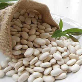 เนเจอร์มูฟ | นูทรีคอสท์ สารสกัดถั่วขาว ถั่วขาวสกัด NATURE MOVE | Nutricost White Kidney Bean Extract /กินร่วมกับ แอปเ...