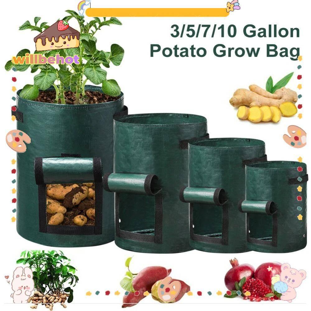 [Willbehot-t] ถุงปลูกสวนพร้อมที่จับ 3/5/7/10 Gallon , เครื่องมือทําสวนคุณภาพสูง PE Plant Bag ผักมะเข