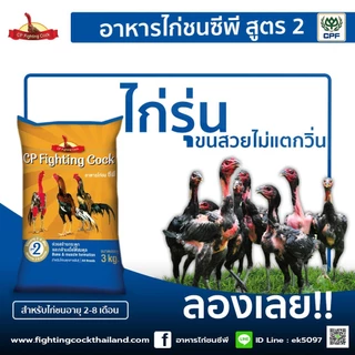 ของใหม่ พร้อมส่ง อาหารไก่ชนซีพี อาหารไก่ชนพรีเมี่ยมจาก cp 3kg. CP Cock Fighting (แถมฟาร์มิน 1ซอง)