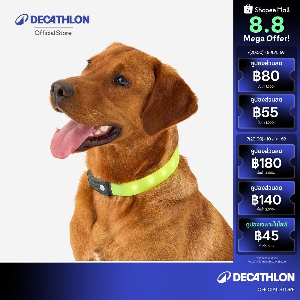 Decathlon Illuminated Dog Collar ปลอกคอเรืองแสงสำหรับสุนัข