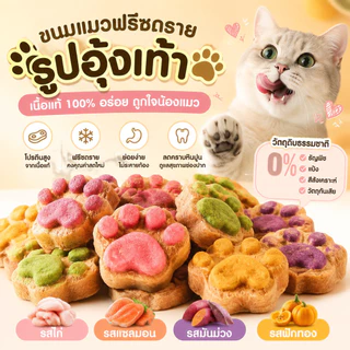ขนมแมวเนื้อไก่ฟรีซดราย อาหารว่างแมว โปรตีนสูง ไขมันต่ำ ย่อยง่าย เหมาะสำหรับแมวทุกวัย