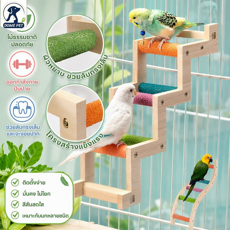 DOME PET🌈บันไดนก สําหรับนกแก้ว ของเล่นนก ติดตั้งในกรง