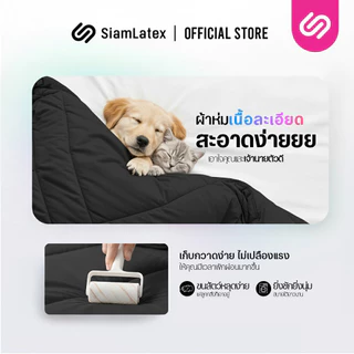 SiamLatex ผ้าห่มเย็น รุ่น Glada Black ลดอุณหภูมิ 3°C นุ่มฟู ห่มสบาย ไม่ติดขนสัตว์ (3.5/5/6 ฟุต)