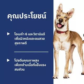 Hill's Science Diet Adult 1-6 อาหารสุนัข อายุ 1-6 ปี ขนาด 3 กก.