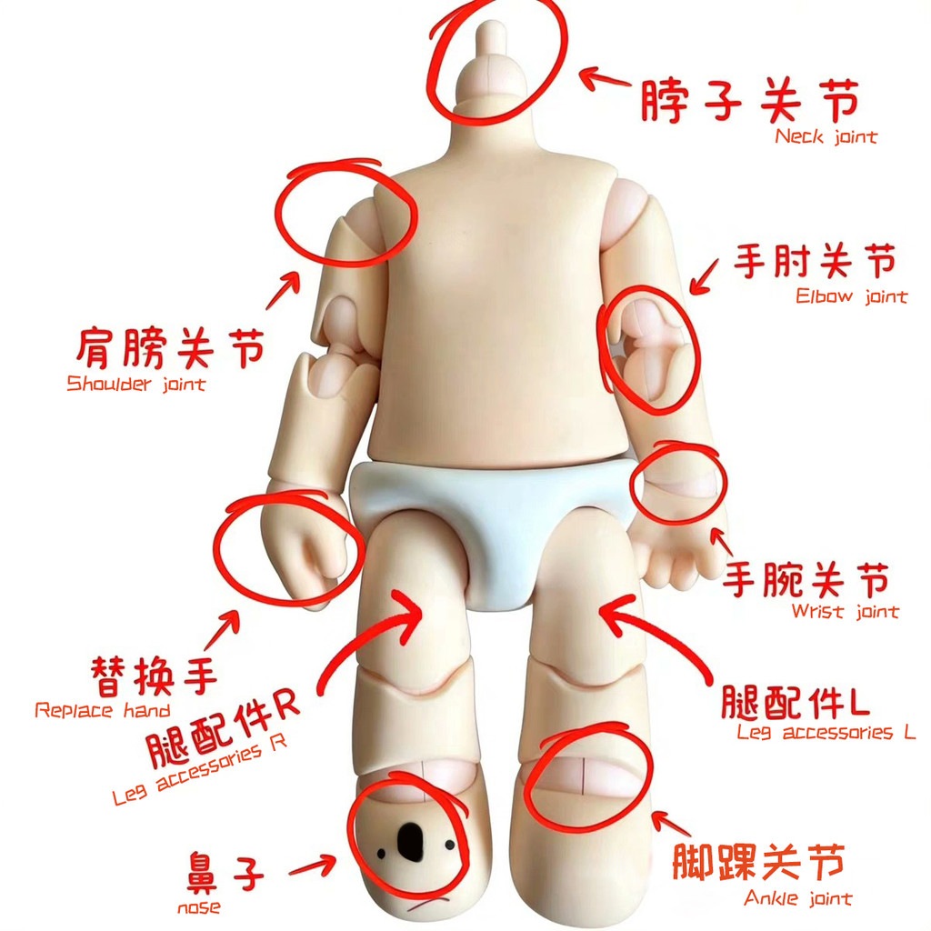 Zsiga Sister Gazi 1/8 Heading ไปข้างหน้าเปลี่ยนมือคออุปกรณ์เสริม Movable zsiga Joint อุปกรณ์เสริม