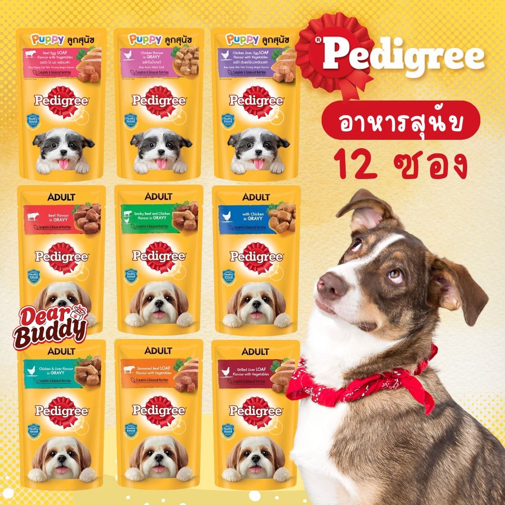 อาหารเปียกสุนัข PEDIGREE  12 ซอง อาหารสุนัขแบบเปียก อาหารสุนัข เพ็ดดิกรี