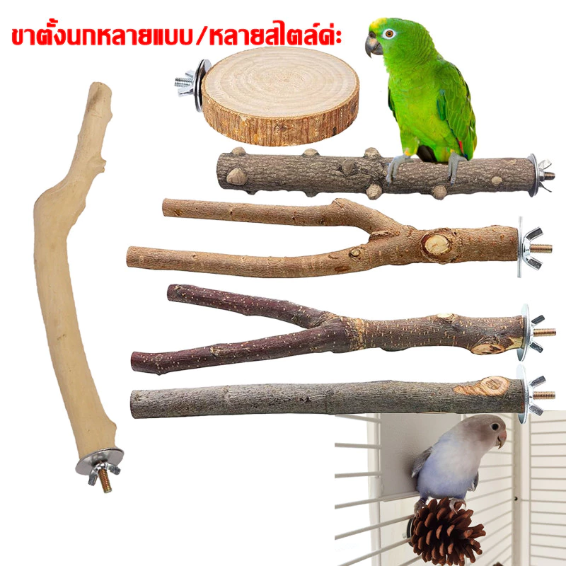 คอนลับเล็บ คอนไม้ คอนนก คอนติดกรง สำหรับนก คอนนกแก้ว คอนลับเล็บนกแก้ว ฟอพัส หงส์หยกคอนัวร์เลิฟเบิร์ด