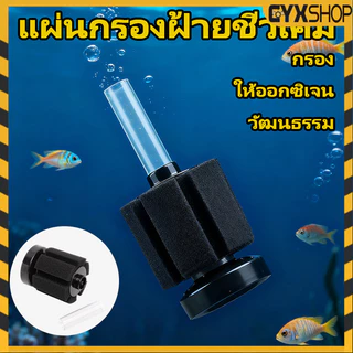 กรองฟองน้ำ ตัวกรองตู้ปลา ตัวกรองฟองน้ำสำหรับตู้ปลา เพิ่มออกซิเจนในน้ำ กำจัดของเสียได้ดี อุปกรณ์ปลาสวยงาม