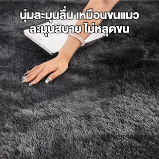 พรม 40*60cm พรมปูพื้นห้องนอน พรมปูพื้น พรมห้องนั่งเล่น พรมขนนุ่ม ผ้าปูพื้นพรมก พรมขนสั้น ขนนิ่ม ตกแต่งสวย มีหลายขนาด COD