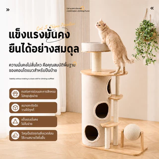 ตัวคอนโดแมวใหญ่ คอนโดแมวไม้ condoแมว โครงปีนแมว กรอบปีนแมว ไม้แมวคอนโดแมว พร้อมโดมนอนแบบใส คอนโดแมวไม้จริง คอนโดไม้