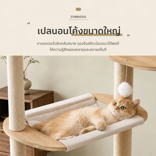 คอนโดแมวไม้ คอนโดแมวใหญ่ โครงปีนแมว คอนโดต้นไม้แมว ตัวคอนโดแมวใหญ่ คอนโดไม้ แคปซูลอวกาศ ไม้แมวคอนโดแมว คอนโดแมว