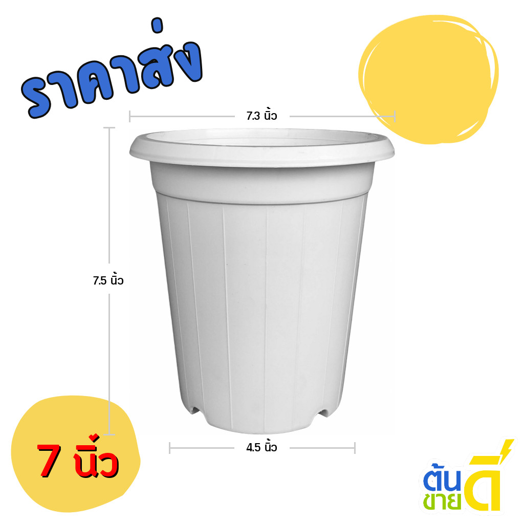 กระถาง แคคตัส ไม้กราฟ ทรงสูง 7 7.3 8 นิ้ว สีขาว ขั้นต่ำ 10 ใบ ชิ้น อัน