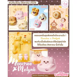 [ส่งจากไทย] Moochee x Molynk สกุชชี่รุ่น Cookie Bear กลิ่นหอมเนื้อนุ่ม