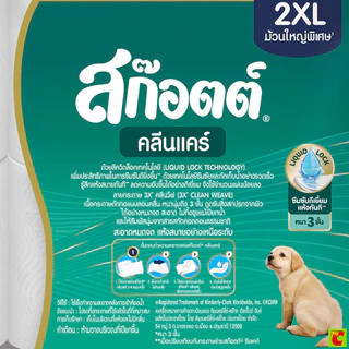 สก๊อตต์ คลีนแคร์ กระดาษชำระ ม้วนใหญ่พิเศษ 2XL แพ็ค 6