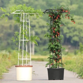 （ราคาขายส่ง）95cm/145cm*28cm ซุ้มกุหลาบ ซุ้มกุหลาบเลื้อย โครงกุหลาบเลื้อย ซุ้มไม้เลื้อย เหล็กแข็งแรง ท่อเหล็กเคลือบ PE