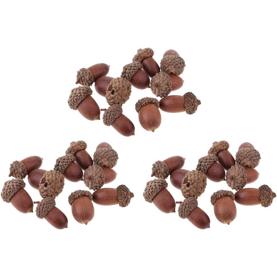 30 ชิ้นธรรมชาติแห้ง Acorn, ขนาดเล็ก Acorns เครื่องประดับแจกันฟิลเลอร์สําหรับงานฝีมือ DIY, คริสต์มาสว