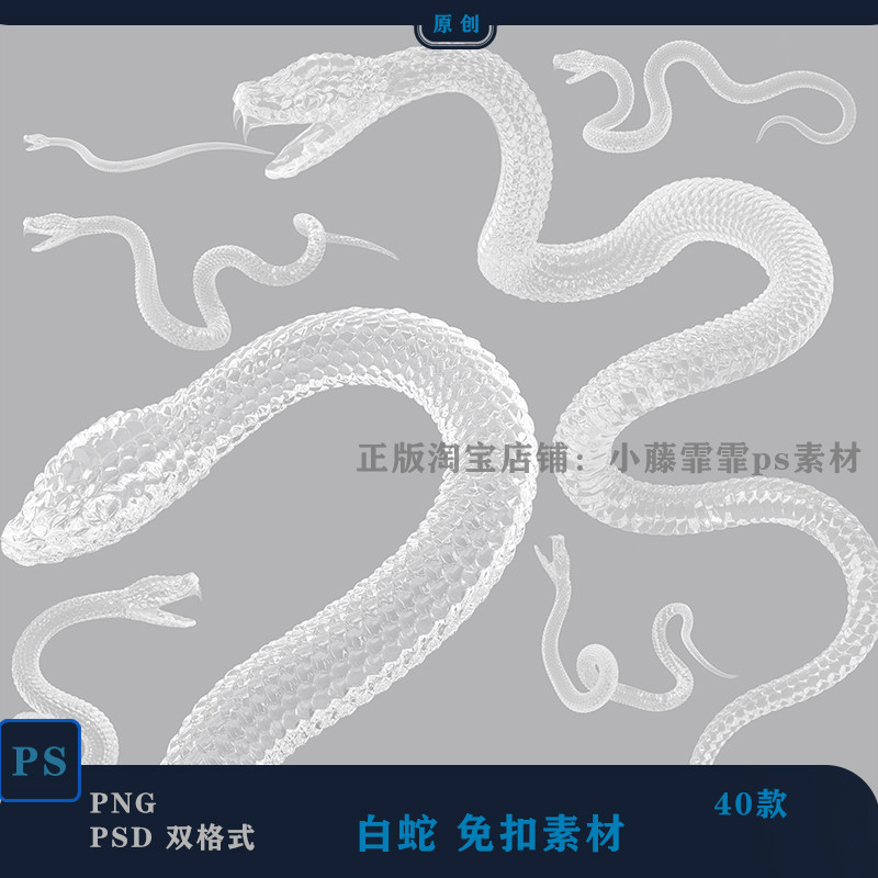 [png-99-1] ps White Snake-Crystal Snake-Buckle-Free Material Blue White Snake Python Design PSD Buck