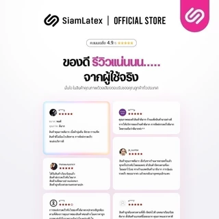 SiamLatex ปลอกหมอนข้างสั้น รุ่น Lato case ปลอกหมอนข้างสั้นแบบตรงรุ่น สีพื้น มีให้เลือกหลายสี