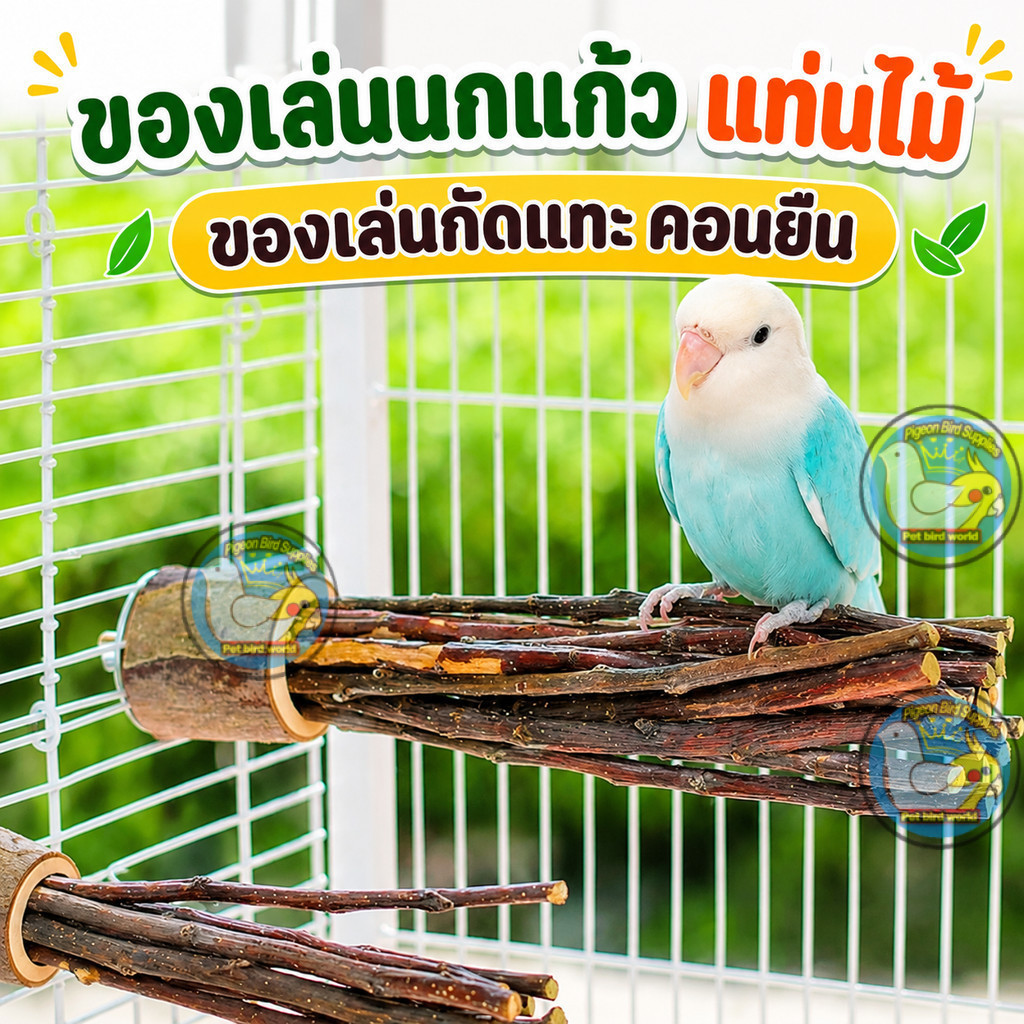 คอนยืนนกแก้ว ไม้แอปเปิ้ลธรรมชาติ คอนลับเล็บ ของเล่นกัดแทะ กิ่งไม้สำหรับนกแก้ว คอนนก ติดกรงนก แก้เบื่อ