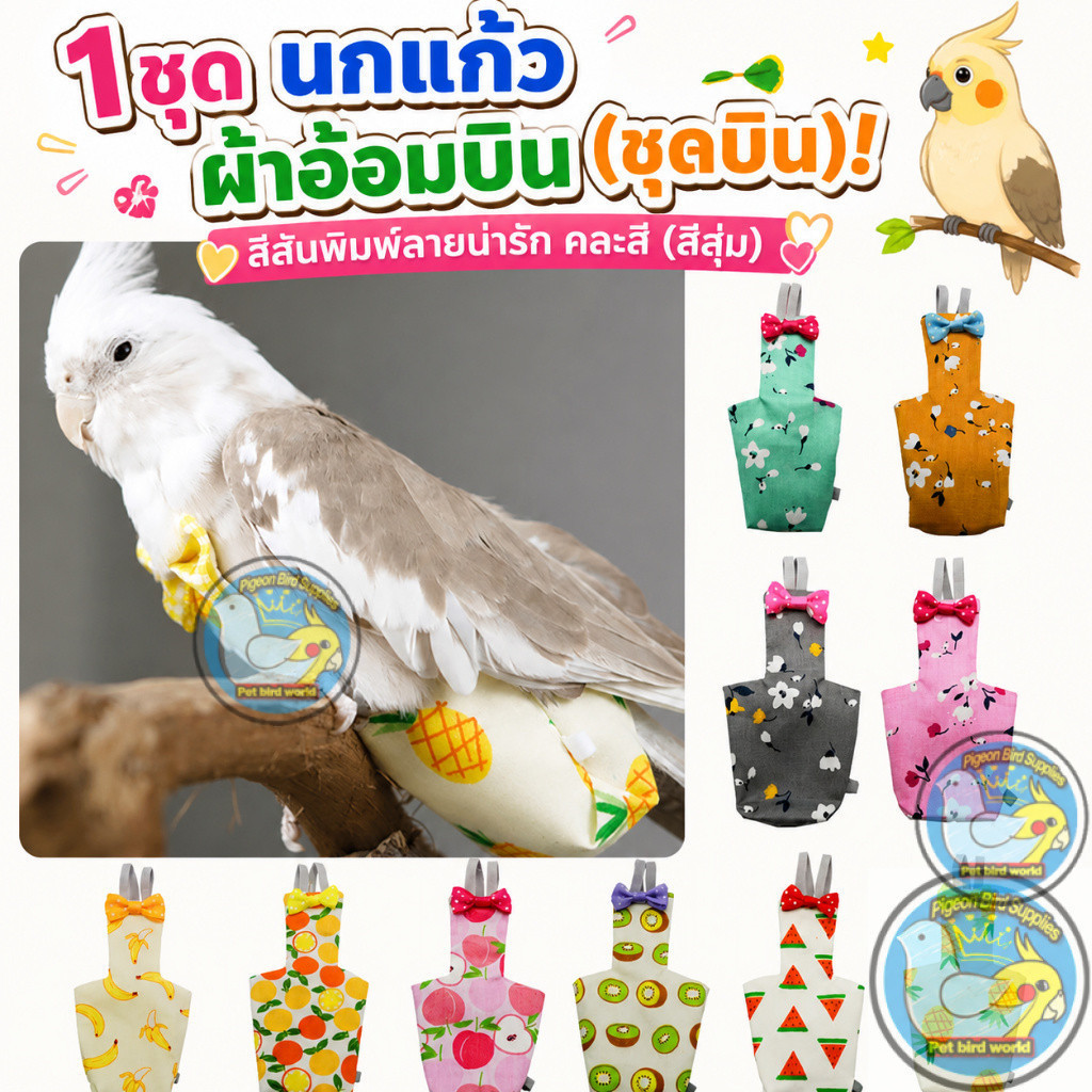 ชุดผ้าอ้อมนกแก้ว ผ้าอ้อมนกแก้ว ชุดนกแก้ว หงหยก ฟอพัส เลิฟ ค๊อก กรีนชีค นกค็อกคาเทล นกเลิฟเบิร์ด