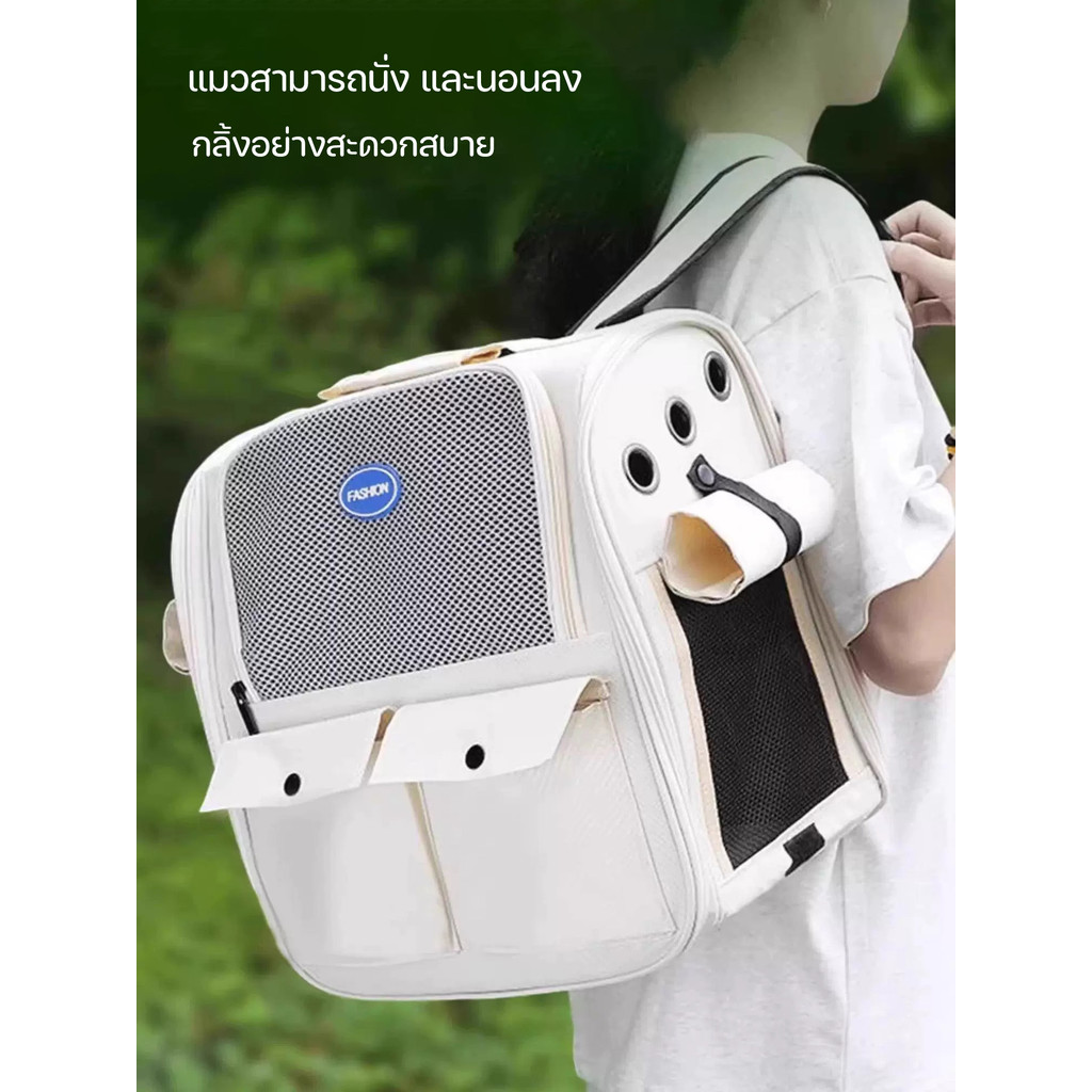 กระเป๋าเป้ใส่สัตว์เลี้ยง พับเก็บได้ ระบายอากาศได้ หน้าต่างกันสาดสองด้าน กระเป๋าสะพายแมว กระเป๋าหมา - รูปที่ 2