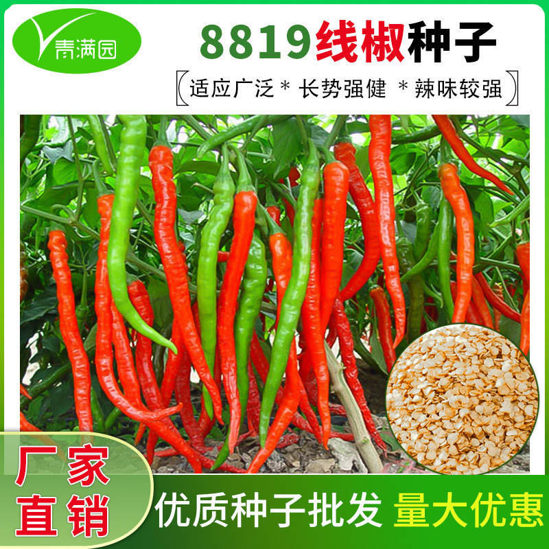 8819 Line Pepper Seeds Spice Slim Chaotian Pepper Screw Pepper Beauty Pepper Millet Pepper Seed Red 