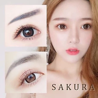 คอนแทคเลนส์ (Sakura) ตาโต