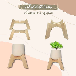 ขาตั้งกระถางต้นไม้ ขาตั้งกระถาง ขาตั้งมินิมอล ขาตั้งกระถางต้นไม้ 5 7 9 10 12 นิ้ว ขาทแยง ขาแมงมุม ราคาถูก ไม้สนนอก