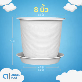กระถางต้นไม้ มินิมอล ขนาด 8 นิ้ว สีขาว ขั้นต่ำ 3 ใบ ชิ้น อัน