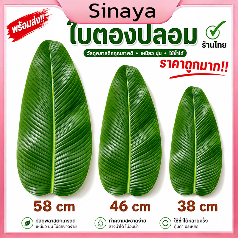 ใบตองปลอม Banana Leaf ใบตองเสมือนจริง ใบตองเทียม ใบประดับโต๊ะ ใบตองพลาสติก ใบตองปลอม ใบตองเทียม ใบกล้วย ใบกล้วยจำลอง