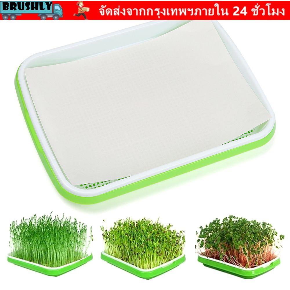 BRUSHLY Grow Nursery Pots อุปกรณ์ทําสวนกระดาษเนอสเซอรี่กล่องพืชการเพาะปลูกแบบไร้ดิน