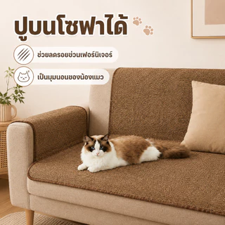 แผ่นขูดแมว เสื่อพรมเลียนแบบป่านศรนารายณ์ การเจียรกรงเล็บสัตว์เลี้ยงทําความสะอาดง่ายใช้งานได้หลายวิธี