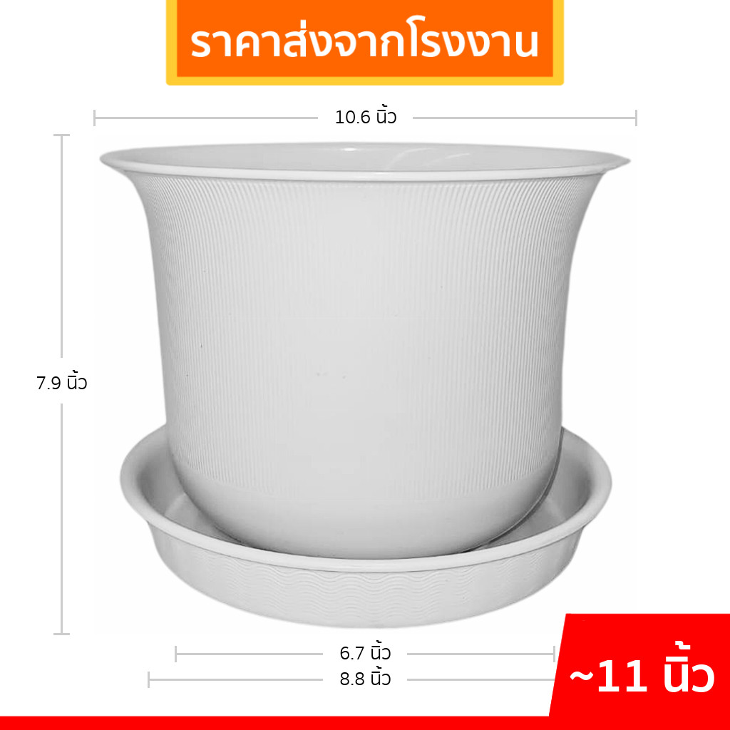 กระถางต้นไม้ มินิมอล ถ้วยจีน+จาน ขนาด 10 11 นิ้ว สีขาว ขั้นต่ำ 2 ใบ ชิ้น อัน