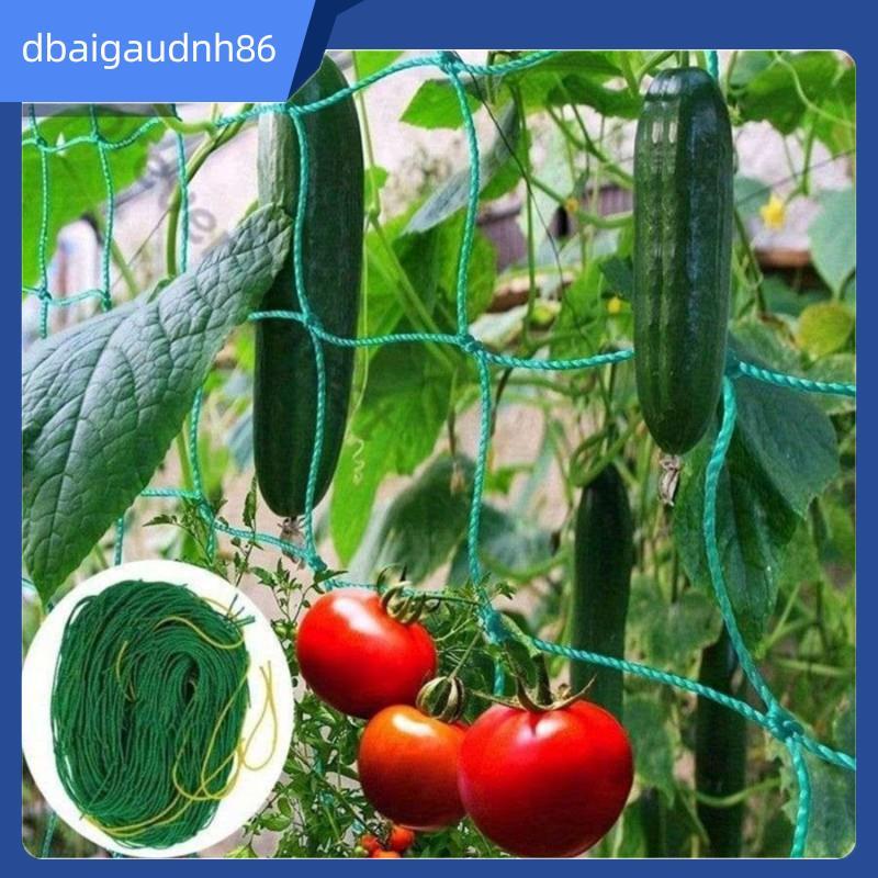 READY STOCK Garden Trellis Netting, Polyethylene, 1.8x0.9m - เหมาะสําหรับพืชปีนเขาและการสนับสนุนสวน