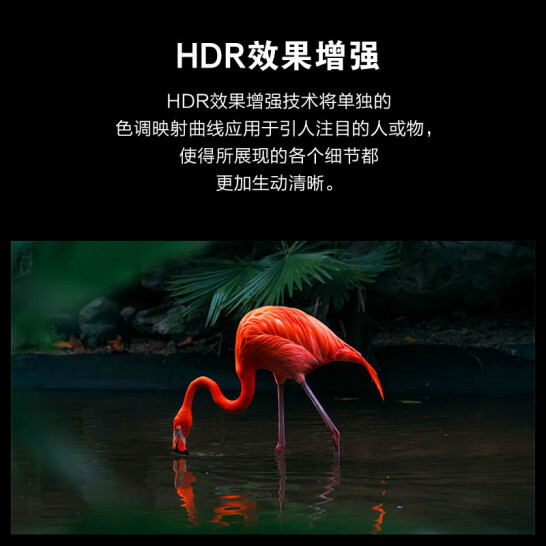 LG OLED55C3PCA ทีวี 65C3P HD สมาร์ทเครือข่าย 4K120HZ เกม Gaming Monitor 77