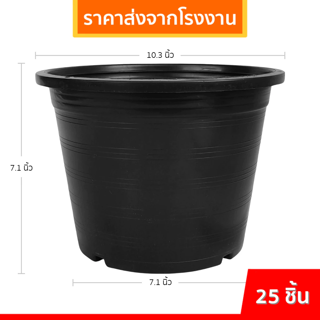 กระถาง 10 นิ้ว พลาสติกดำ ยกมัด 25 ใบ ขนาดมาตรฐาน
